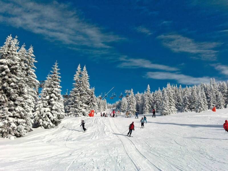 SRBIJA - Kopaonik